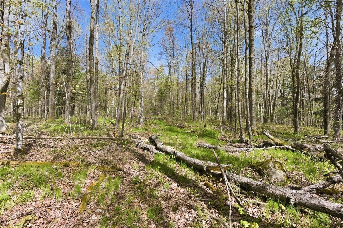 W585 Strucker Road Ogema, WI 54459 - Photo 27 of 55