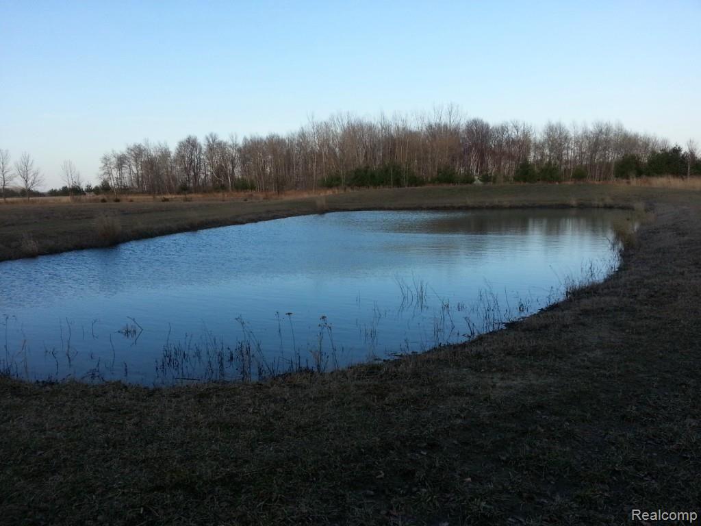 236 Stone Road Deckerville, MI 48427 - Photo 14 of 32 20150412_191113.jpg