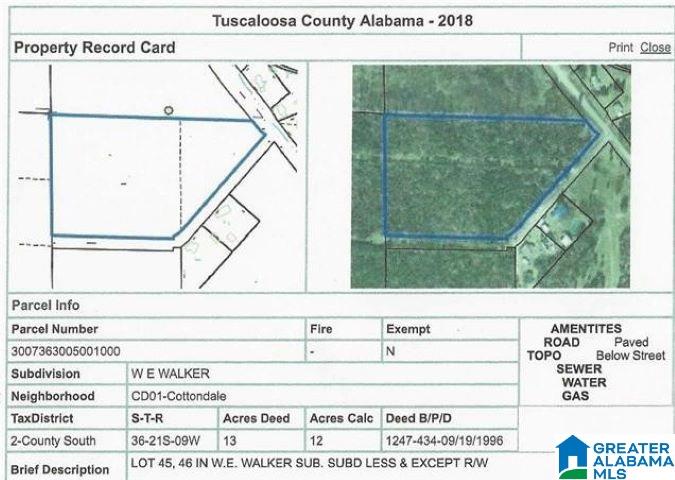 0 Clements Road, Unit 45 46 Cottondale, AL 35453 - Photo 2 of 2