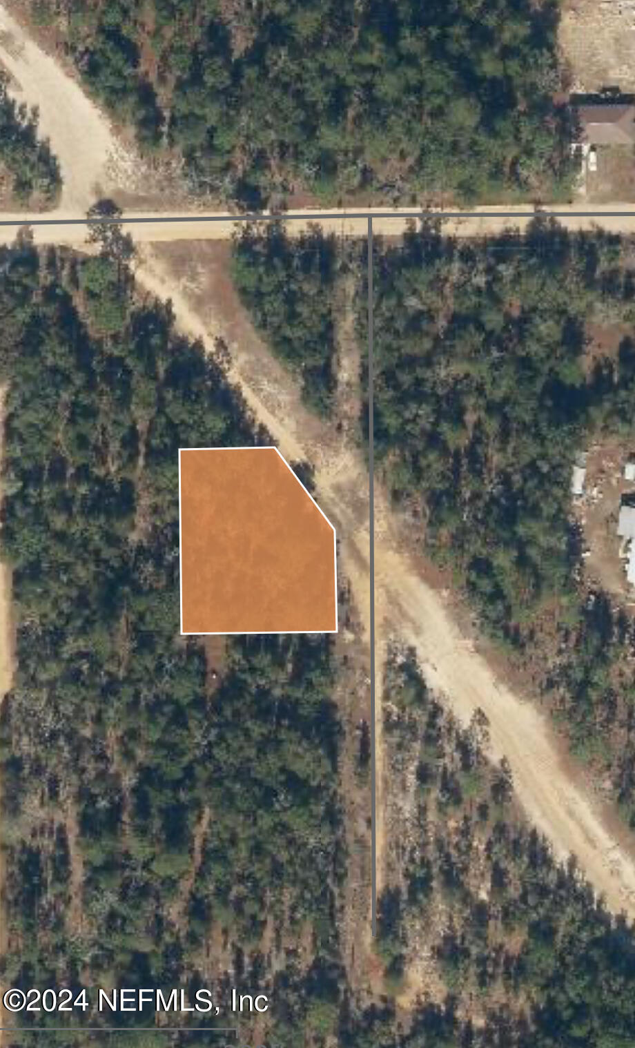 0 Burton Street Interlachen, FL 32148 - Photo 2 of 3 a view of a yard of a house