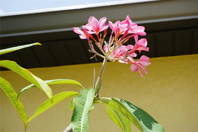 $325,000 | 25115 Esmeralda Court, Punta Gorda, FL 33955