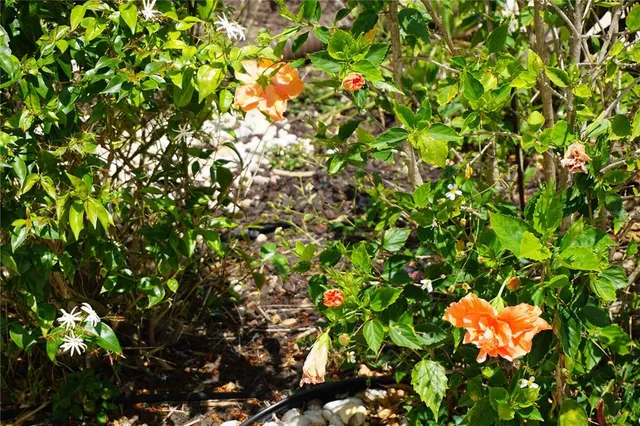 $325,000 | 25115 Esmeralda Court, Punta Gorda, FL 33955