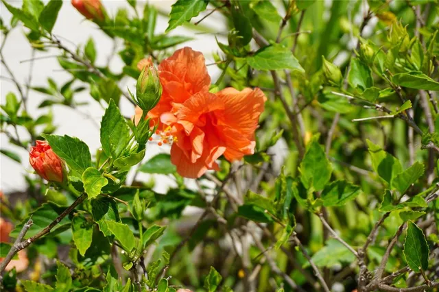 $325,000 | 25115 Esmeralda Court, Punta Gorda, FL 33955