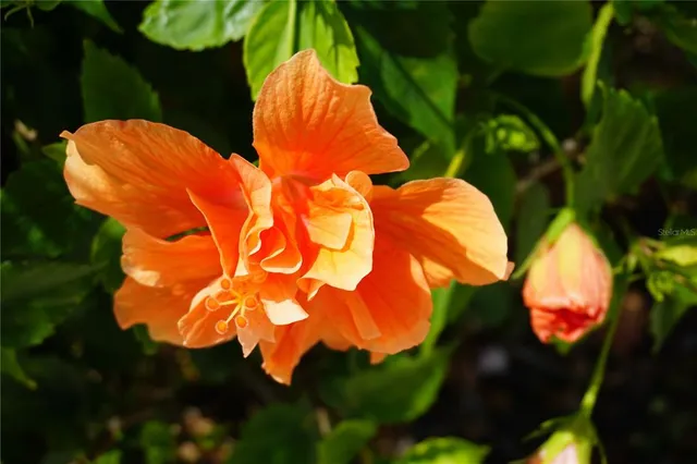 $325,000 | 25115 Esmeralda Court, Punta Gorda, FL 33955