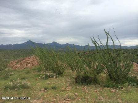 Tbd Tbd Camino Carina Rio Rico, AZ 85648 - Photo 7 of 10