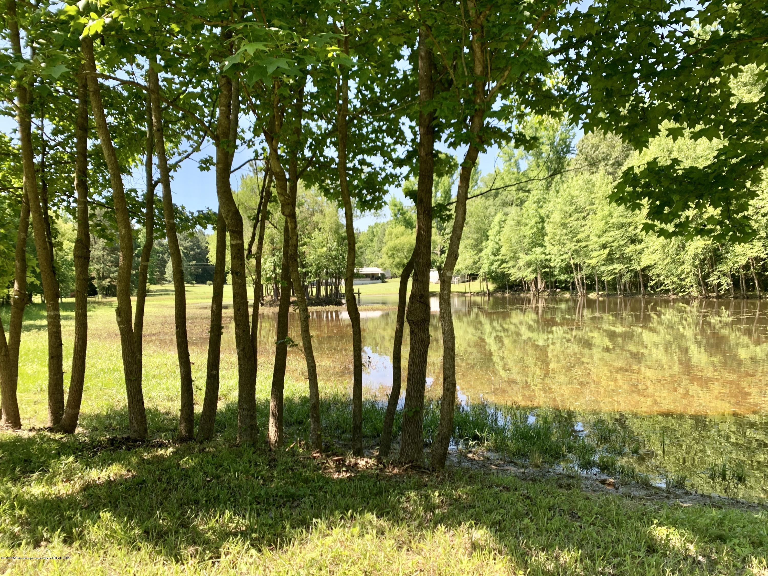364 Burton Road Holly Springs, MS 38635 - Photo 33 of 35 5EC6B006-D2BF-41E7-9A7F-F4D3A7CEEA03