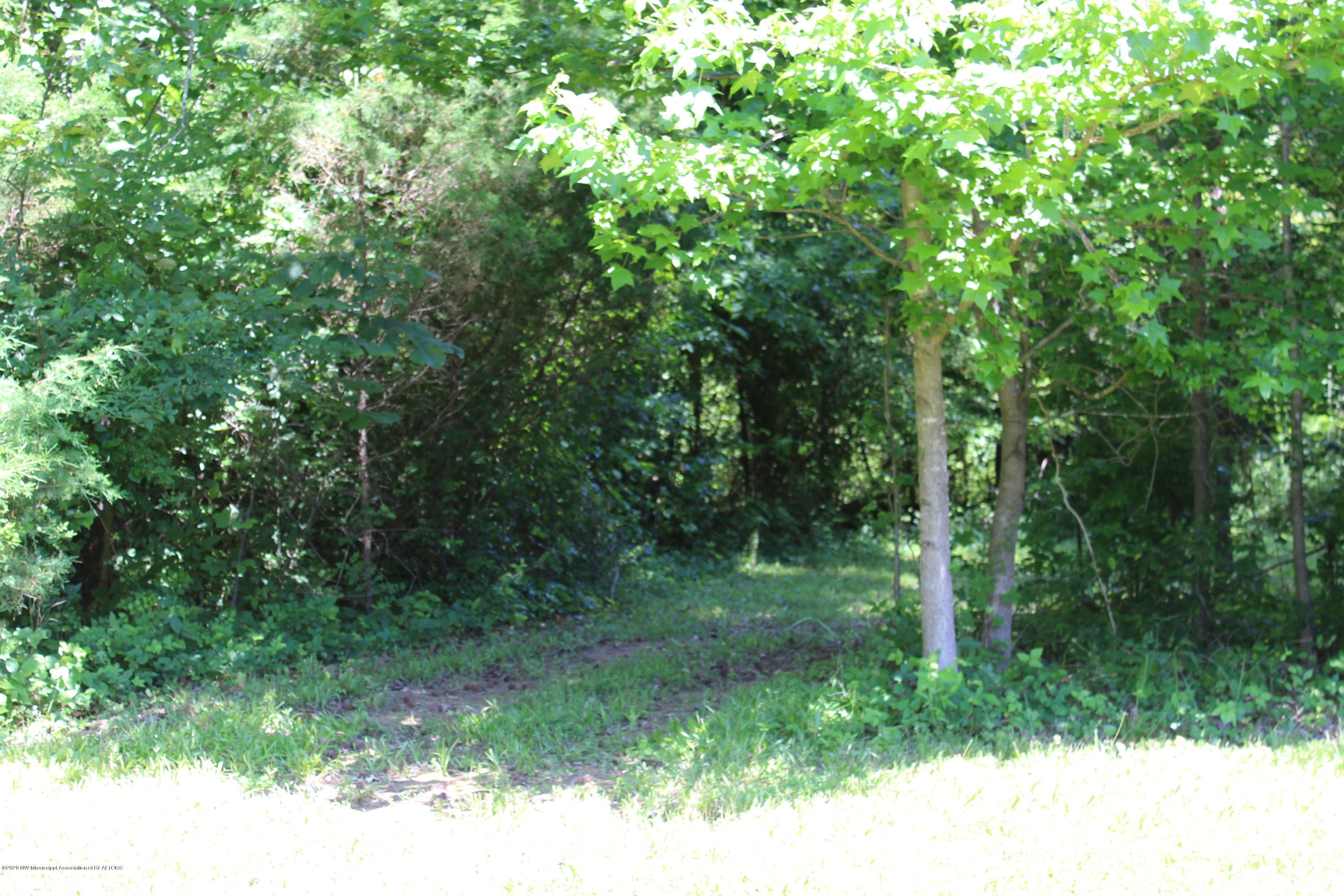 364 Burton Road Holly Springs, MS 38635 - Photo 34 of 35 42DDF173-FA03-4AB5-BB94-396A7736D507