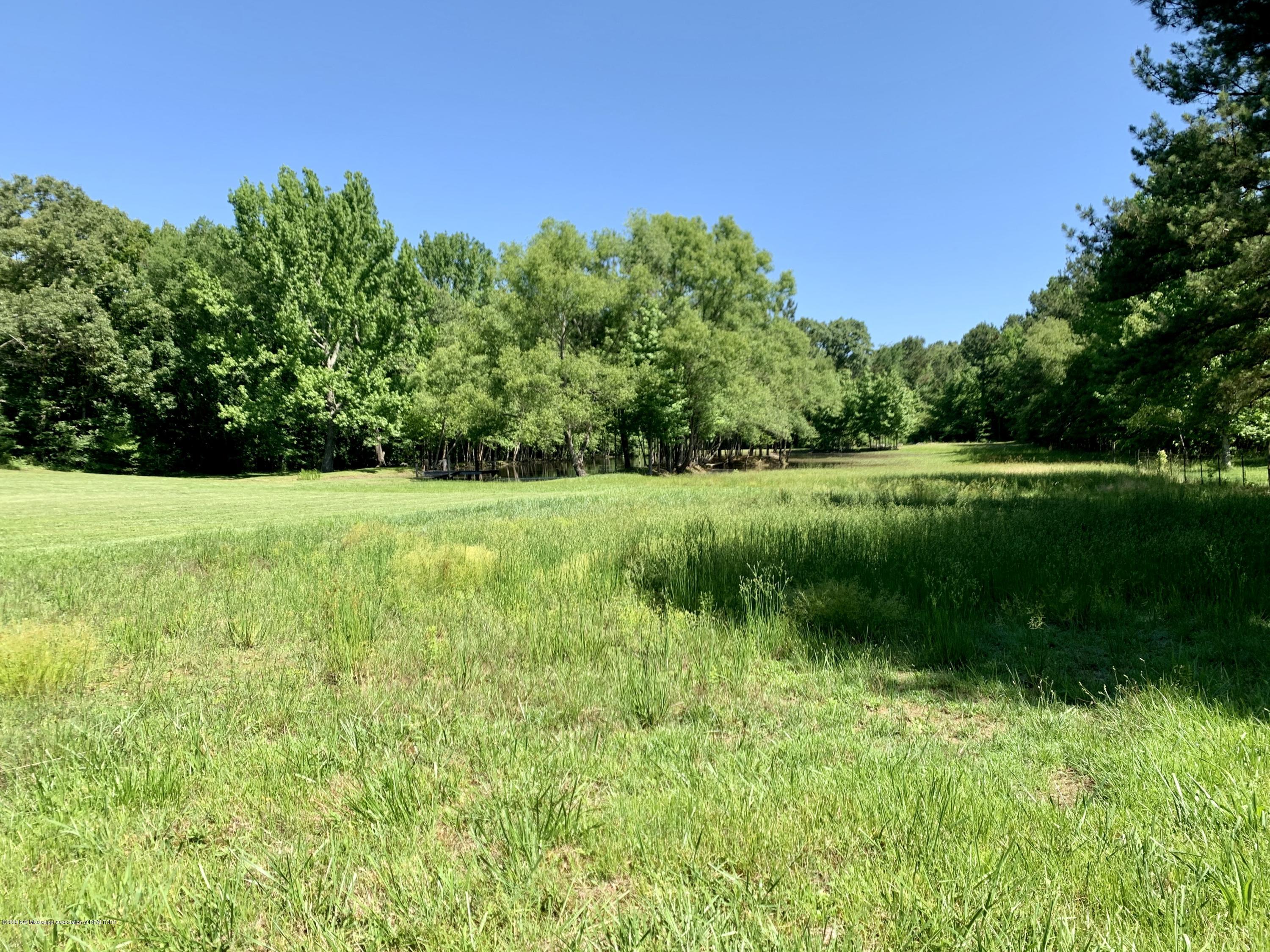 364 Burton Road Holly Springs, MS 38635 - Photo 35 of 35 EE9DC37D-7E15-4963-B836-2FC5B390A9AA