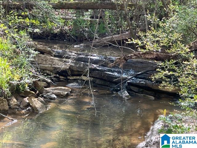 707 Sequoyah Road, Unit 1 Pell City, AL 35128 - Photo 7 of 18