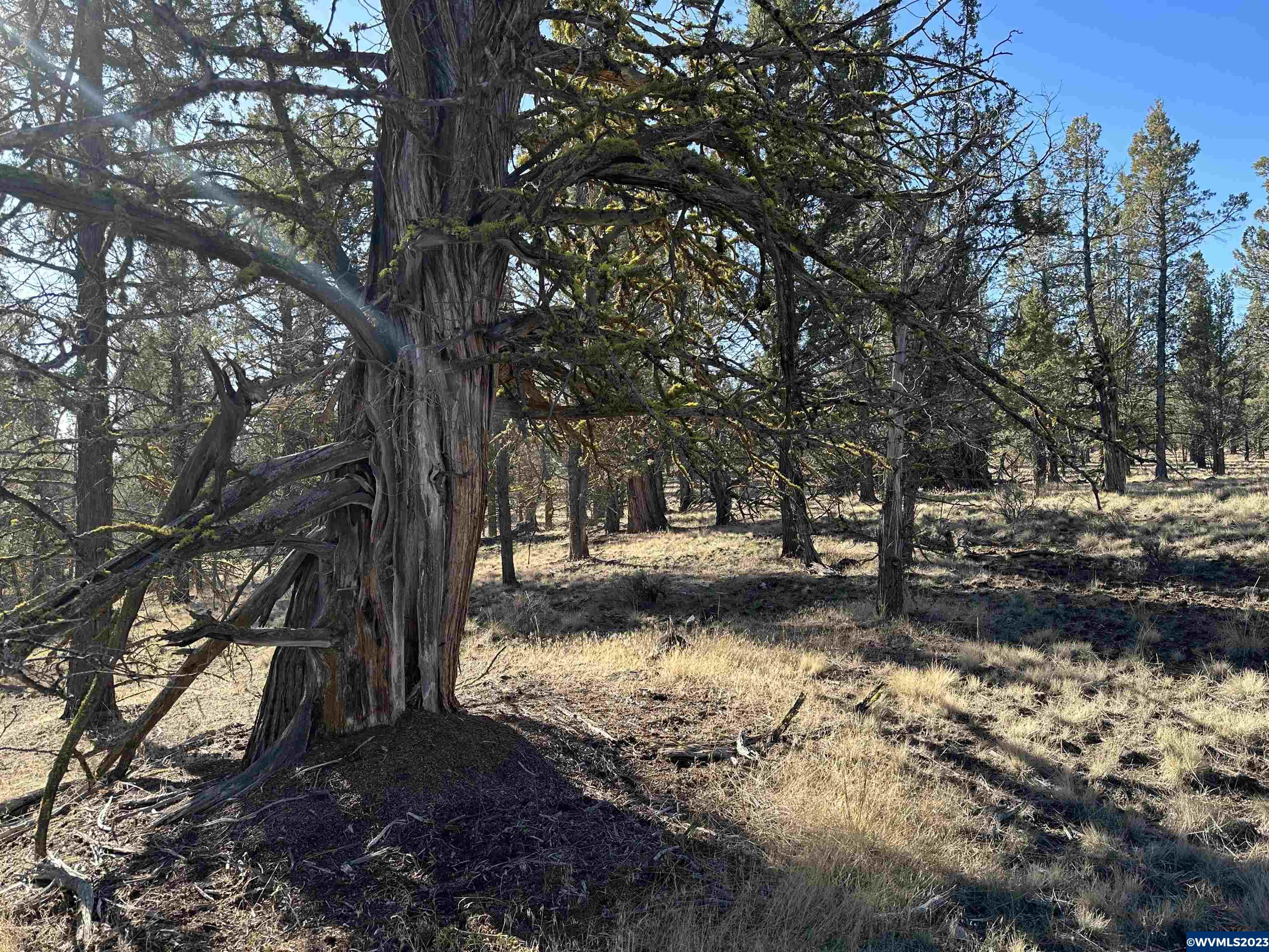 1300 Fishhole Creek Road Bly, OR 97622 - Photo 12 of 25