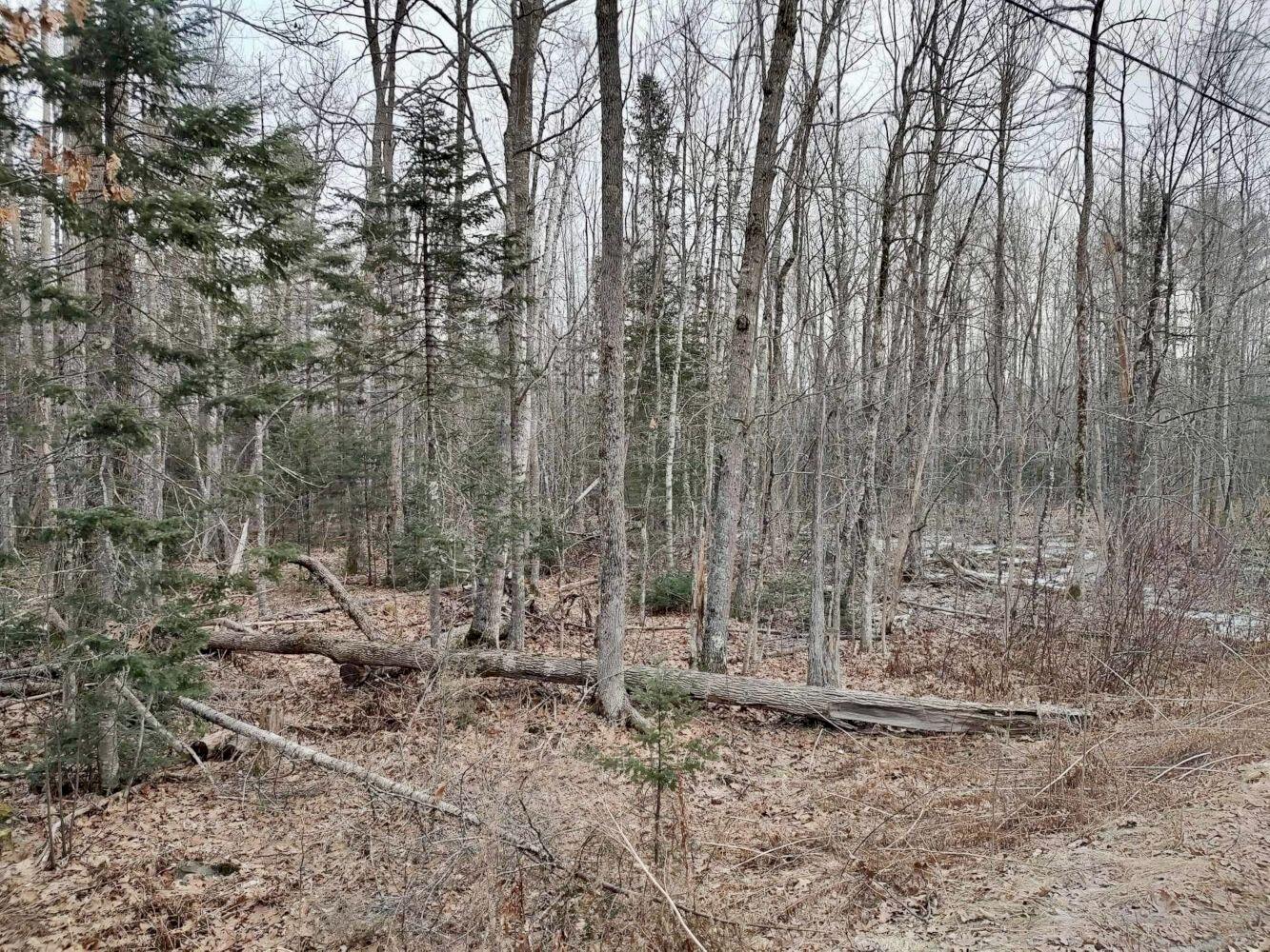 M7-l28 Lapoint Road Stetson, ME 04488 - Photo 19 of 22 IMG_8554