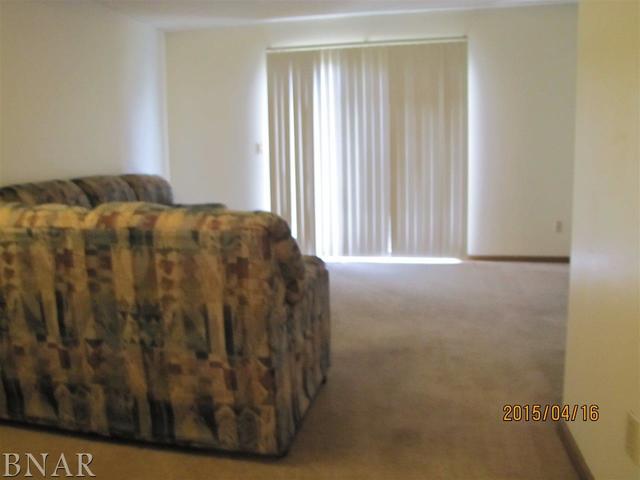 700 North Adelaide Street, Unit 56 Normal, IL 61761 - Photo 3 of 15
