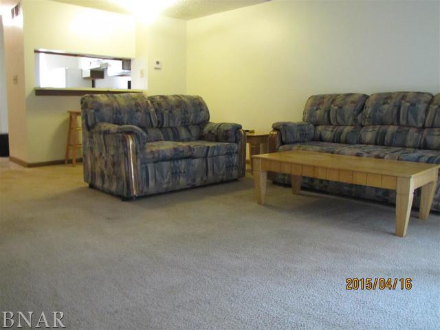 700 North Adelaide Street, Unit 56 Normal, IL 61761 - Photo 4 of 15