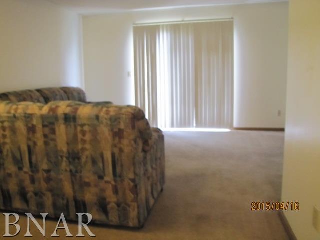 700 North Adelaide Street, Unit 56 Normal, IL 61761 - Photo 5 of 15