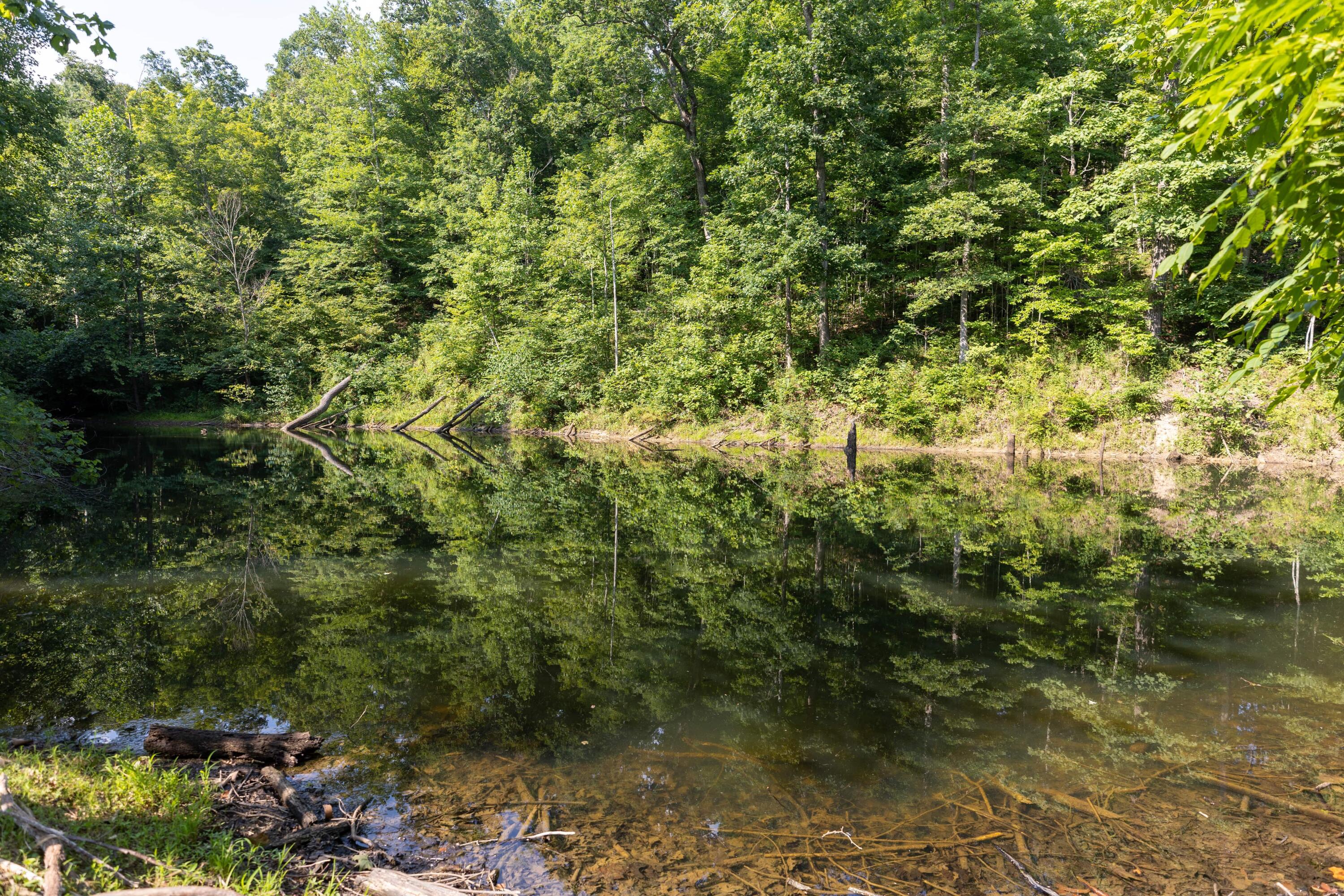 775 Tennessee Ridge Road Parksville, KY 40464 - Photo 18 of 19 Tennessee Ridge-10-min