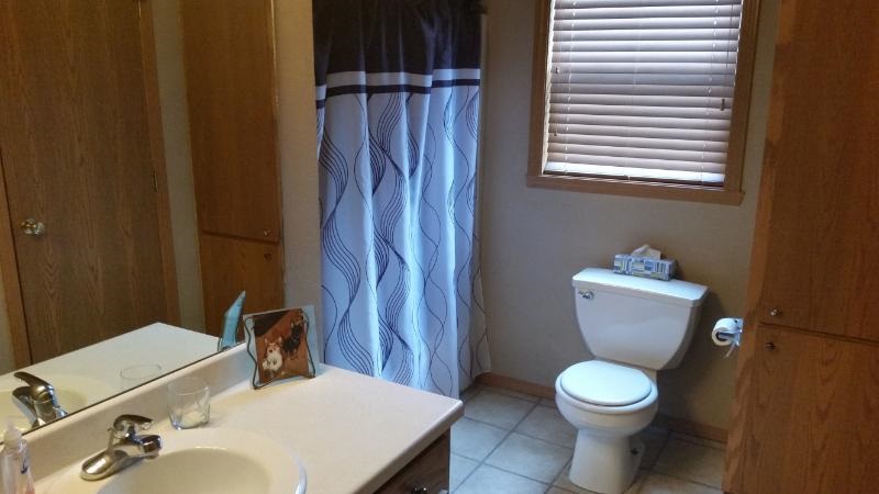701 7 Hickory Road Byron, IL 61010 - Photo 9 of 18 Gallery Image 9