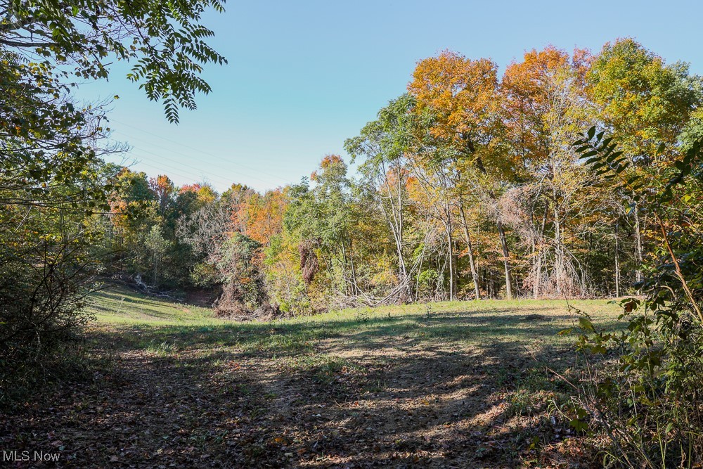 Flint Ridge Road Northeast Crooksville, OH 43731 - Photo 6 of 25 View of nature