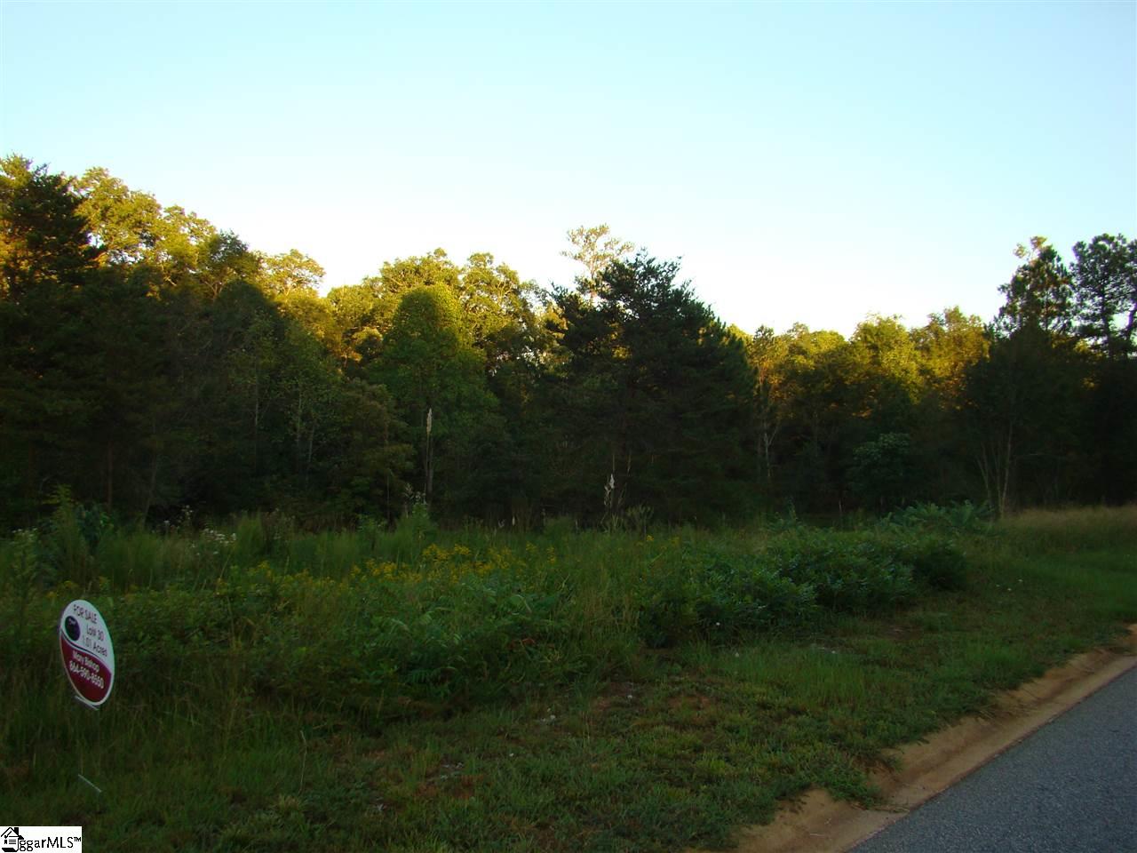 379 State Rd S-42-4394 Chesnee, SC 29323 - Photo 1 of 1 Gallery Image 1