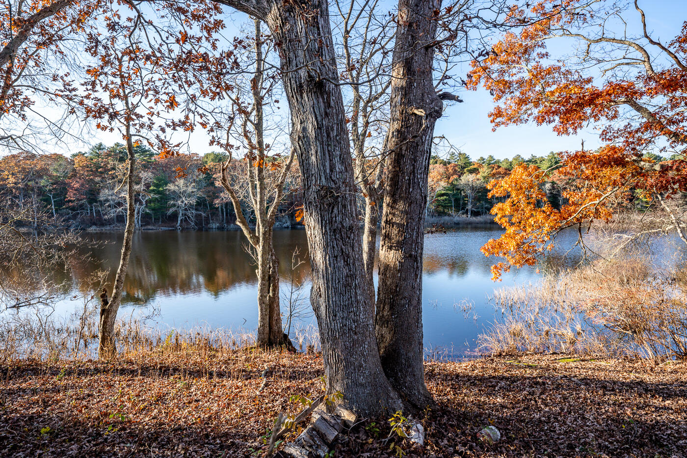119 Valley Bars Road Bourne, MA 02532 - Photo 2 of 46 a view of a lake in between two large trees