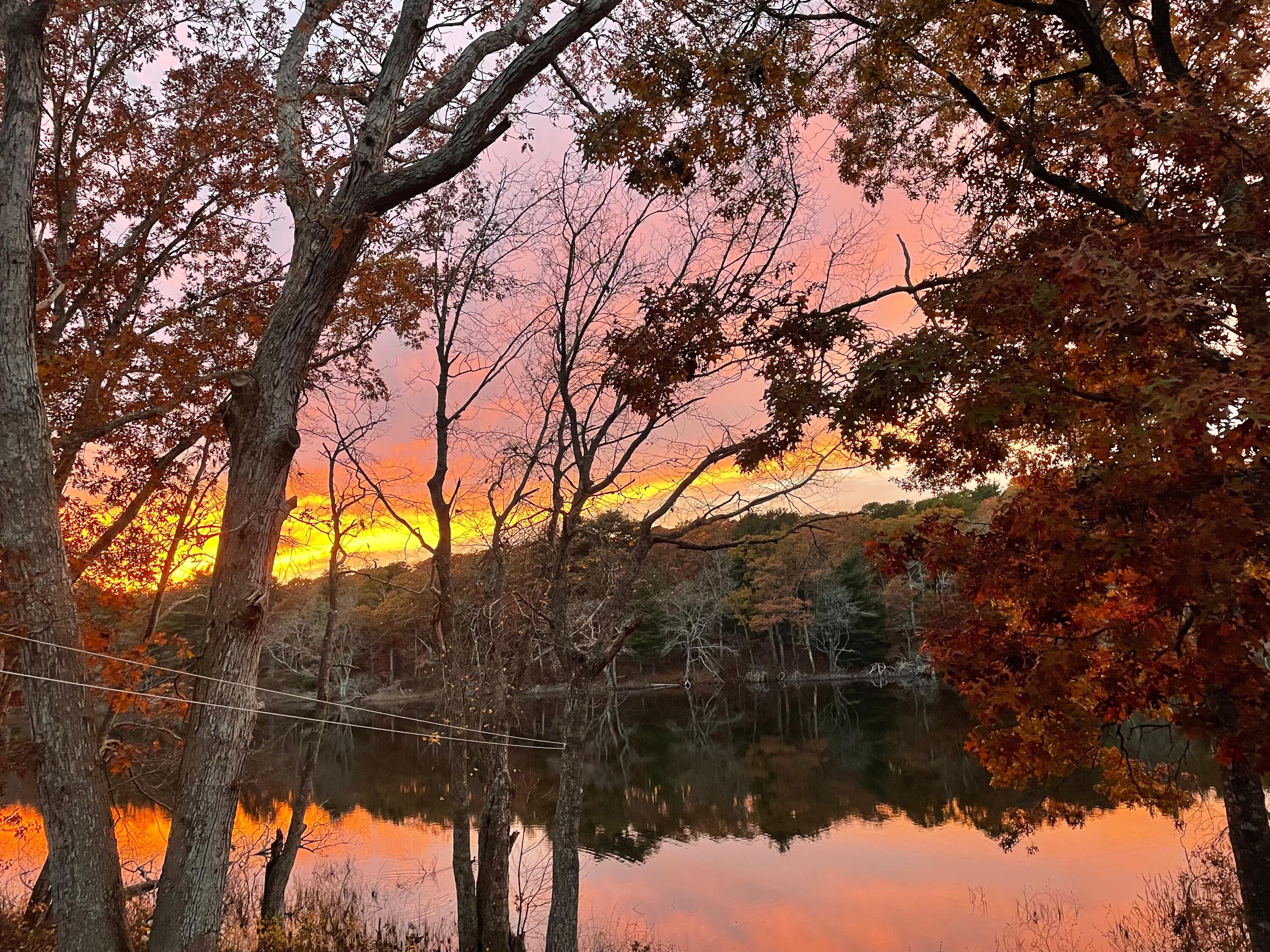 119 Valley Bars Road Bourne, MA 02532 - Photo 32 of 46 a backyard of a house with a mountain and tree
