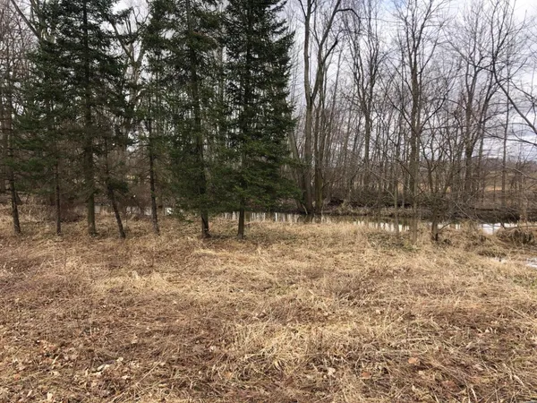 $32,900 | 10220 Woodbridge Road, Camden, MI 49232