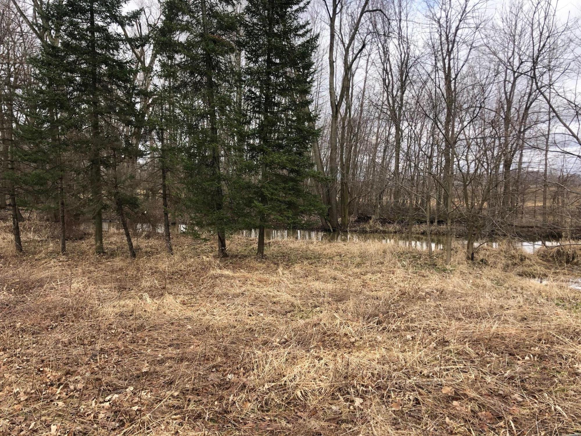 10220 Woodbridge Road Camden, MI 49232 - Photo 3 of 6 ras 1