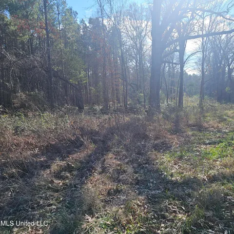 $40,000 | 1 Watson Road, Byhalia, MS 38611