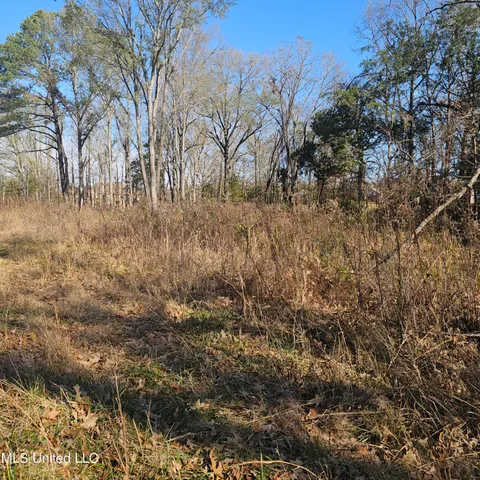 $40,000 | 1 Watson Road, Byhalia, MS 38611