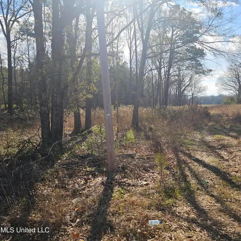 $40,000 | 1 Watson Road, Byhalia, MS 38611