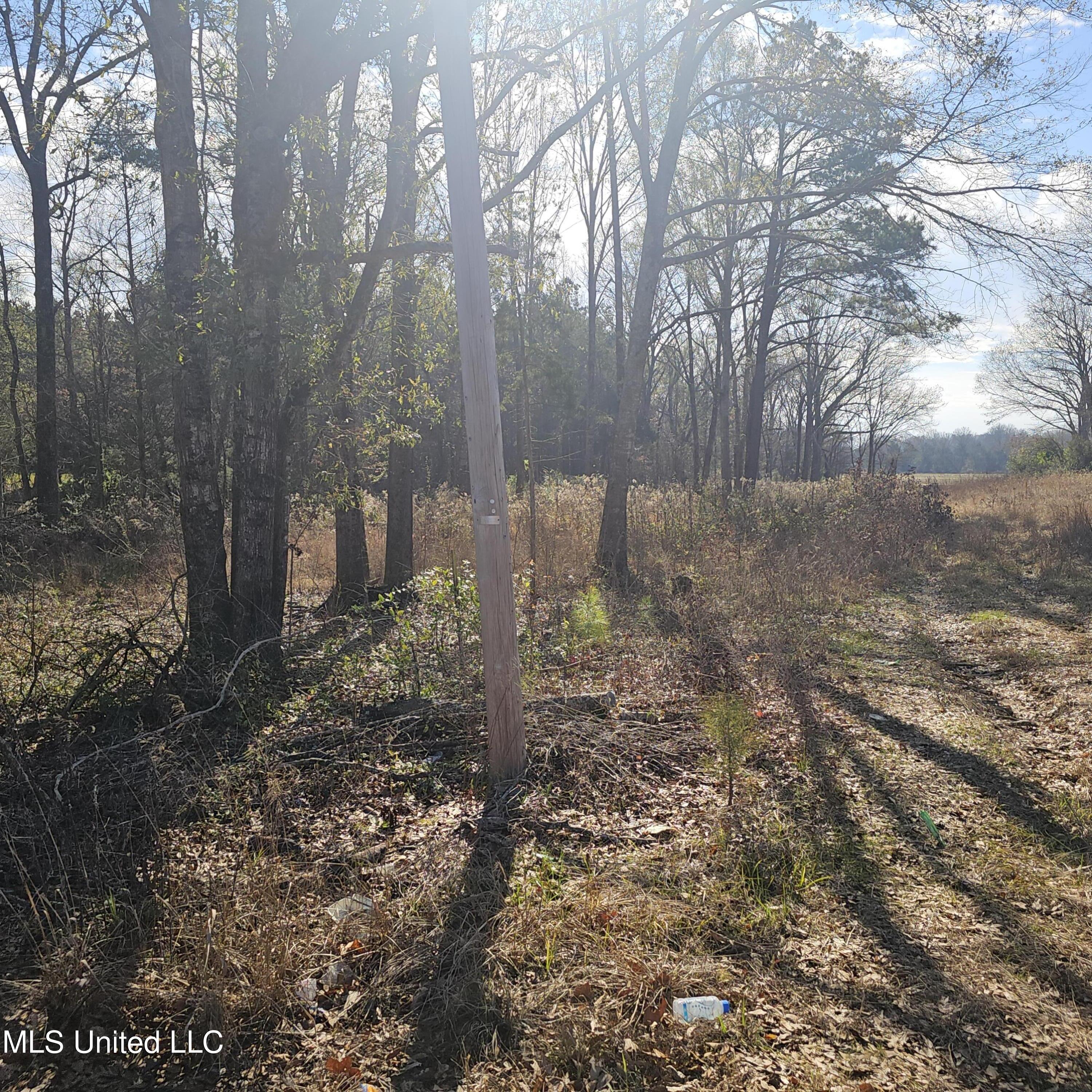 1 Watson Road Byhalia, MS 38611 - Photo 3 of 15 20251210_115311