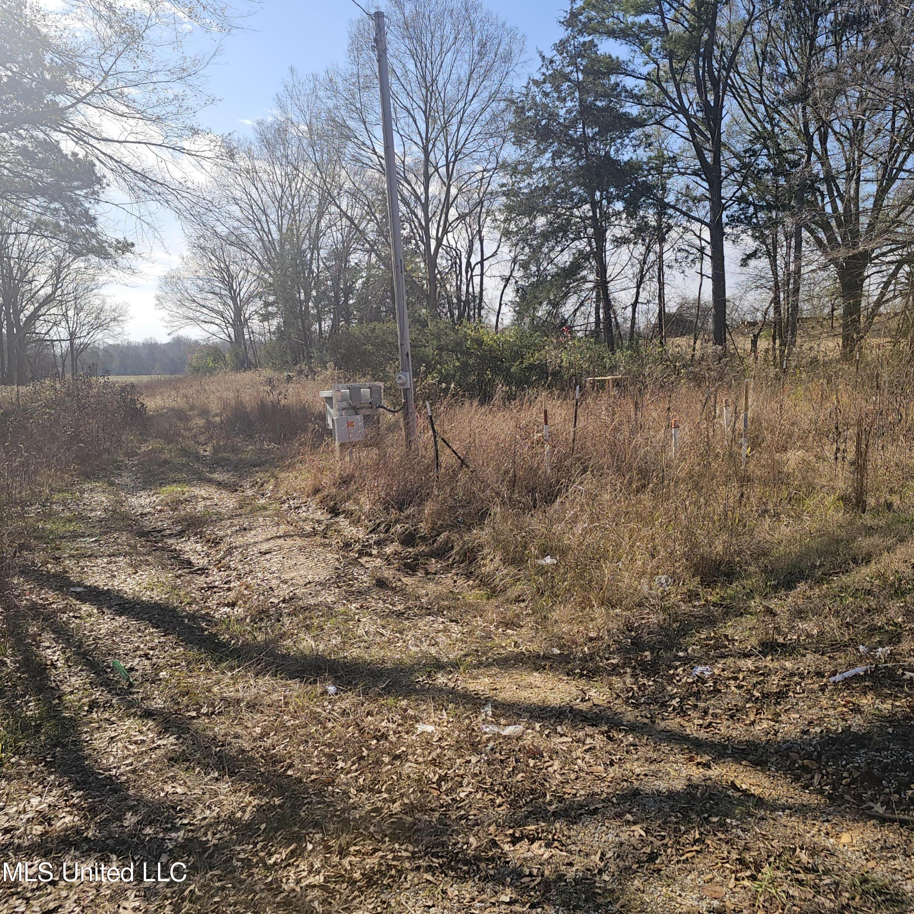 1 Watson Road Byhalia, MS 38611 - Photo 4 of 15 20251210_115314