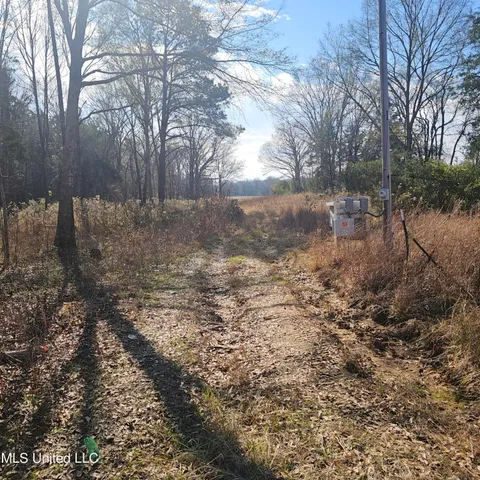$40,000 | 1 Watson Road, Byhalia, MS 38611