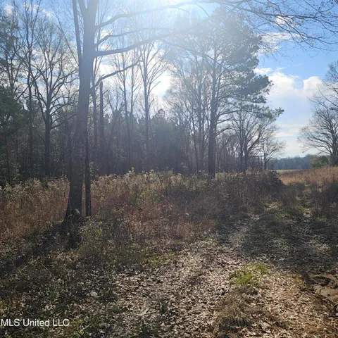 $40,000 | 1 Watson Road, Byhalia, MS 38611