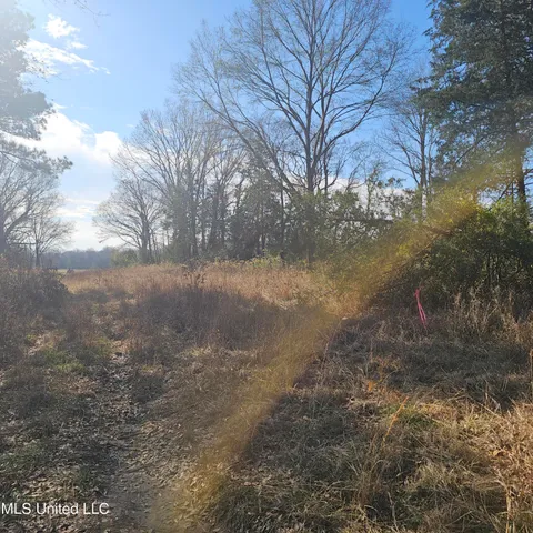 $40,000 | 1 Watson Road, Byhalia, MS 38611