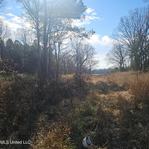 $40,000 | 1 Watson Road, Byhalia, MS 38611