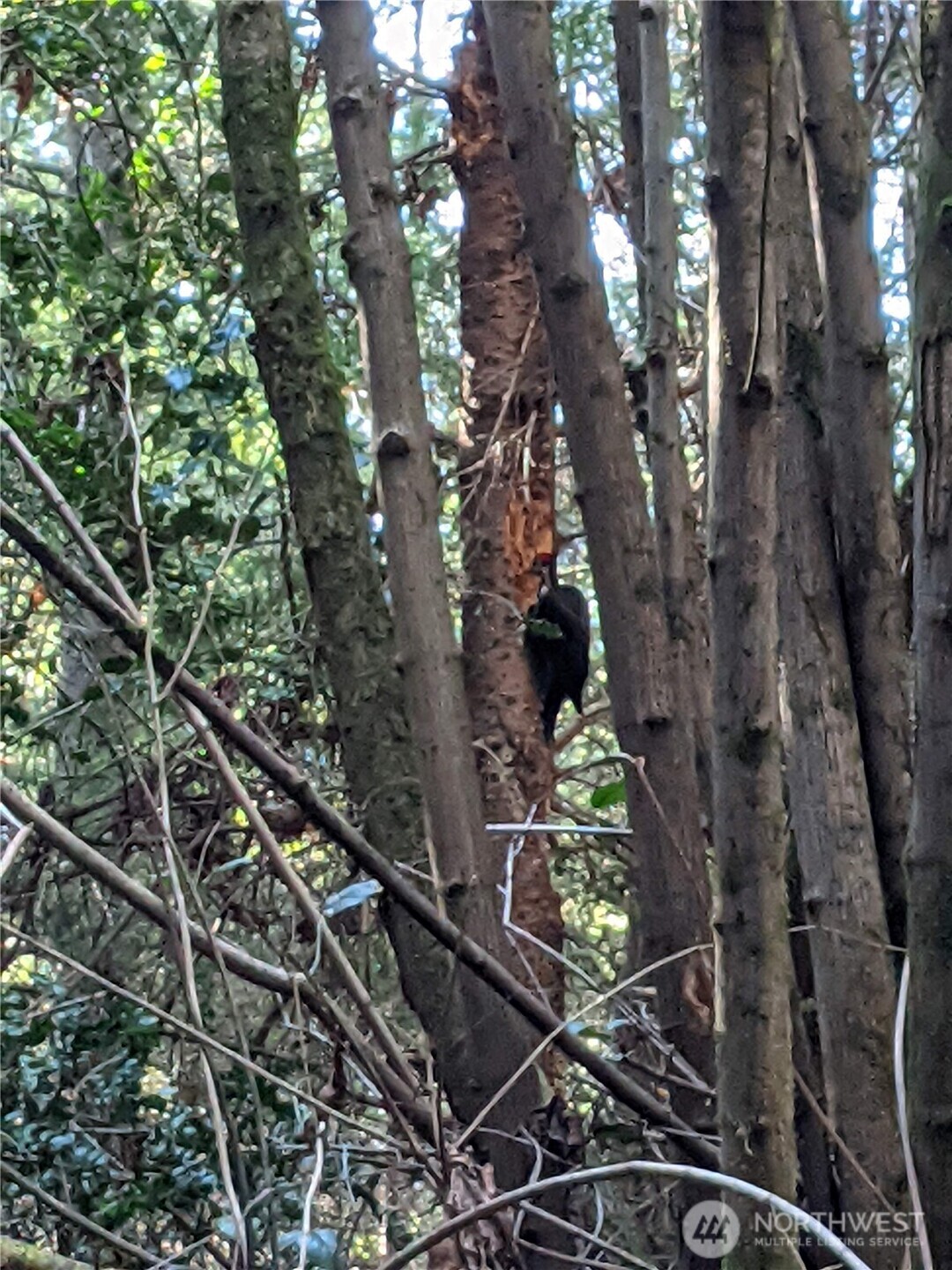 2998 Oak Bay Road Port Hadlock, WA 98339 - Photo 11 of 28