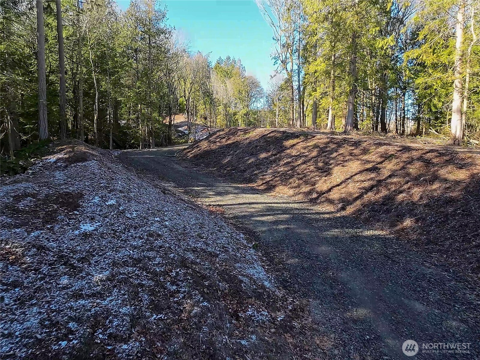 2998 Oak Bay Road Port Hadlock, WA 98339 - Photo 12 of 28 a view of a yard with a tree