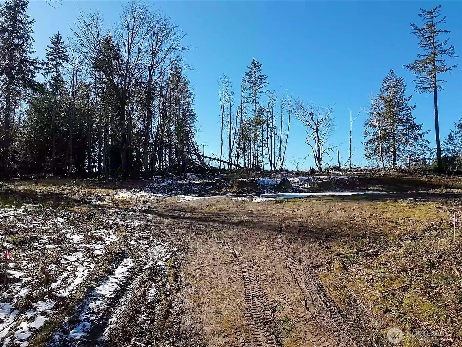 2998 Oak Bay Road Port Hadlock, WA 98339 - Photo 14 of 28 a view of dirt field with trees
