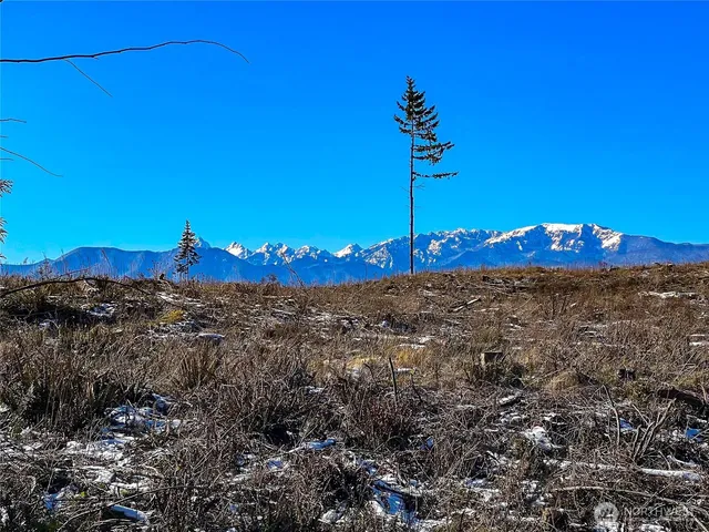a view of outdoor space with trees