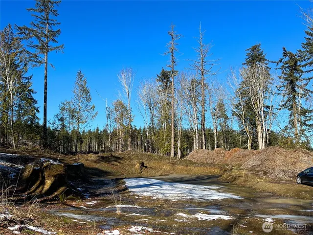 a view of a yard with snow on the road