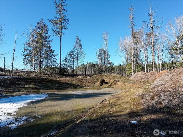 a view of a city with lots of trees