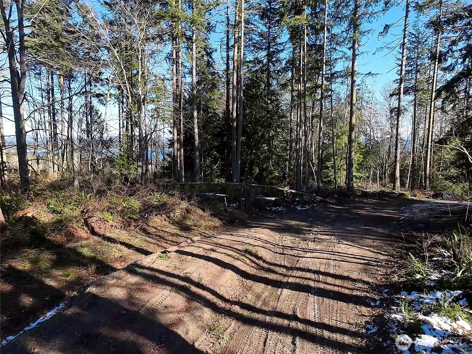 2998 Oak Bay Road Port Hadlock, WA 98339 - Photo 21 of 28 a view of a backyard of the house
