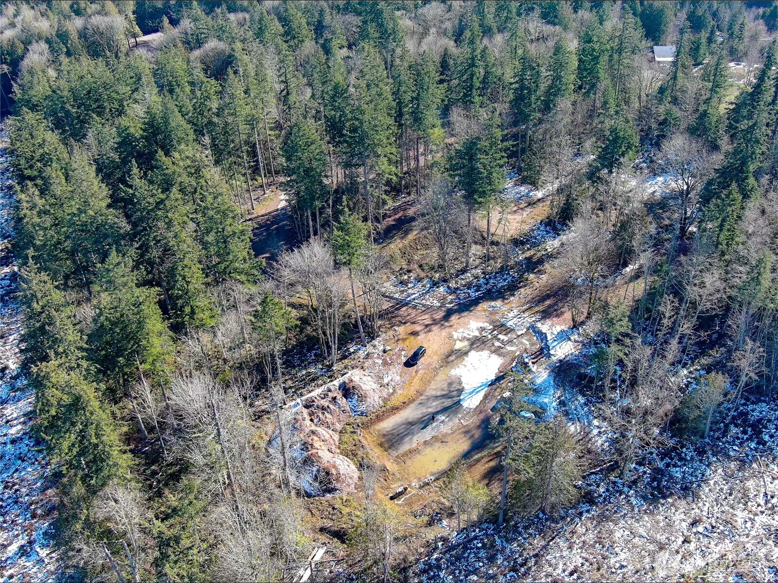 2998 Oak Bay Road Port Hadlock, WA 98339 - Photo 22 of 28 a view of a forest with a forest
