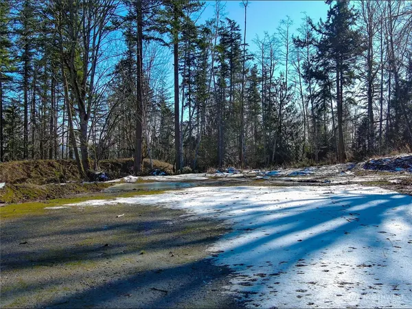 a view of a house with a forest