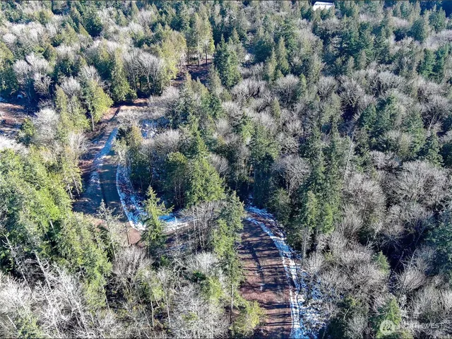 an aerial view of residential house with outdoor space and trees all around