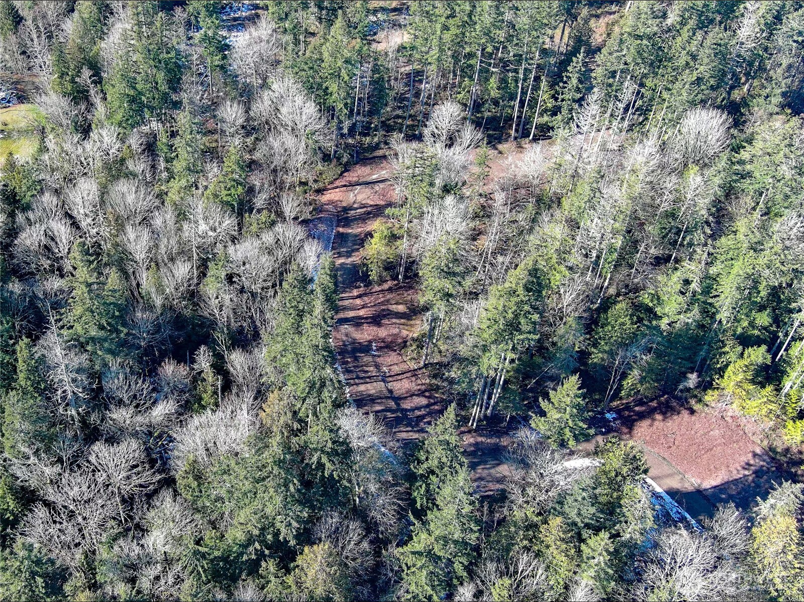 2998 Oak Bay Road Port Hadlock, WA 98339 - Photo 25 of 28 an aerial view of residential house with outdoor space and trees all around