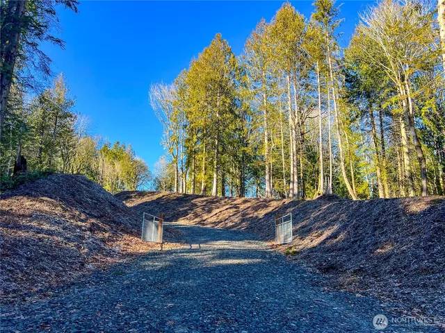 a view of a yard with plants and trees
