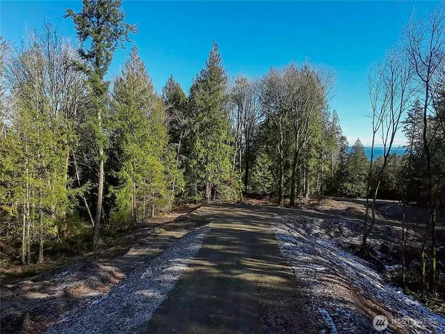 a view of a backyard with trees