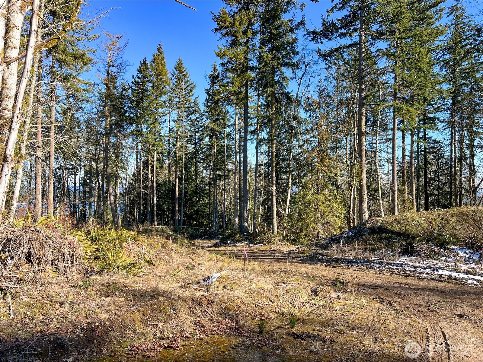 2998 Oak Bay Road Port Hadlock, WA 98339 - Photo 7 of 28 a view of house with a yard covered with snow