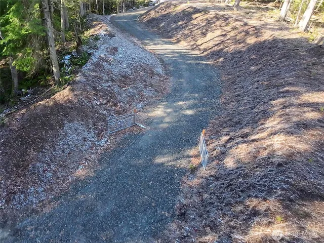 a view of a yard with a tree
